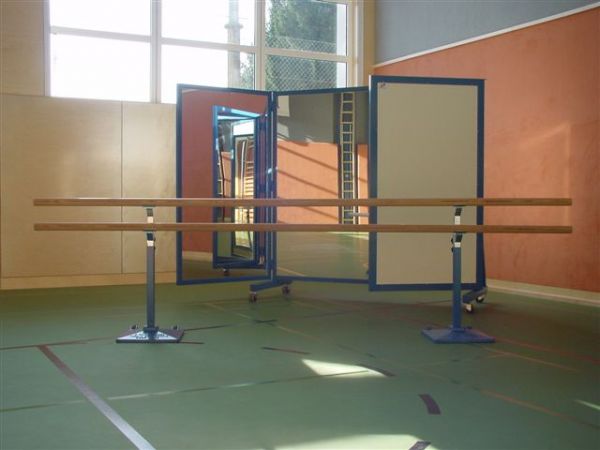 Sportspiegel klappbar